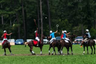 Polocrosse World Cup