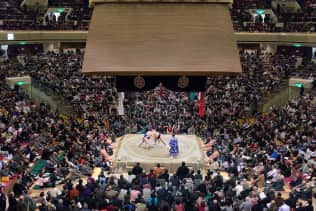 Sumo en Japón - Torneo de Mayo