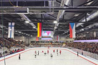 Selección de hockey sobre hielo de Austria