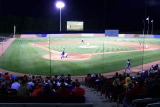Wisconsin Timber Rattlers