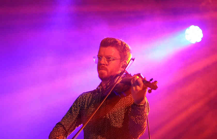 Peatbog Faeries