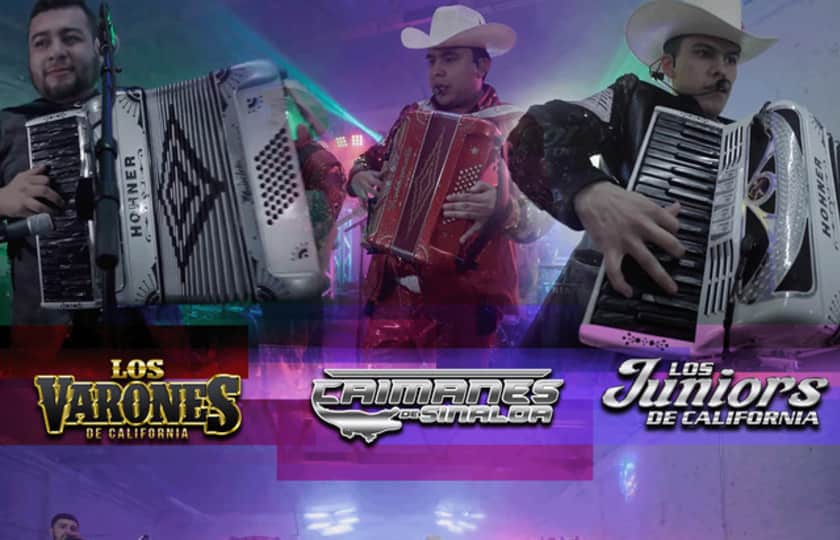 LOS JUNIORS DE CALIFORNIA , PROYECTIL AUTORIZADO EN CONCIERTO ! La