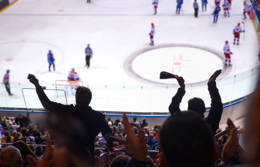 NHL All Star Game