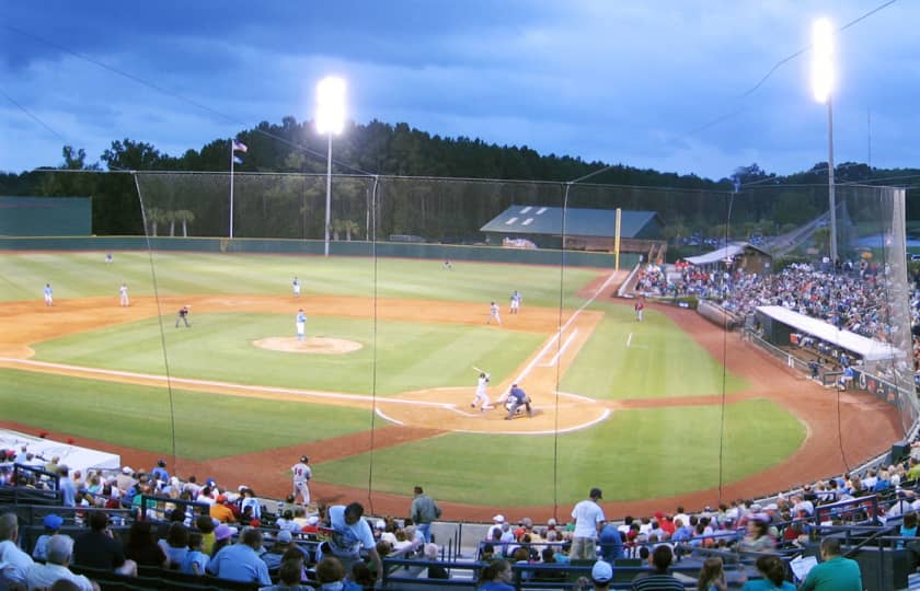 Charleston Riverdogs at Myrtle Beach Pelicans Pelicans Ballpark