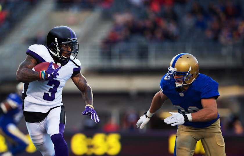 Baltimore Ravens Tickets Buy or Sell Baltimore Ravens 2025 Tickets