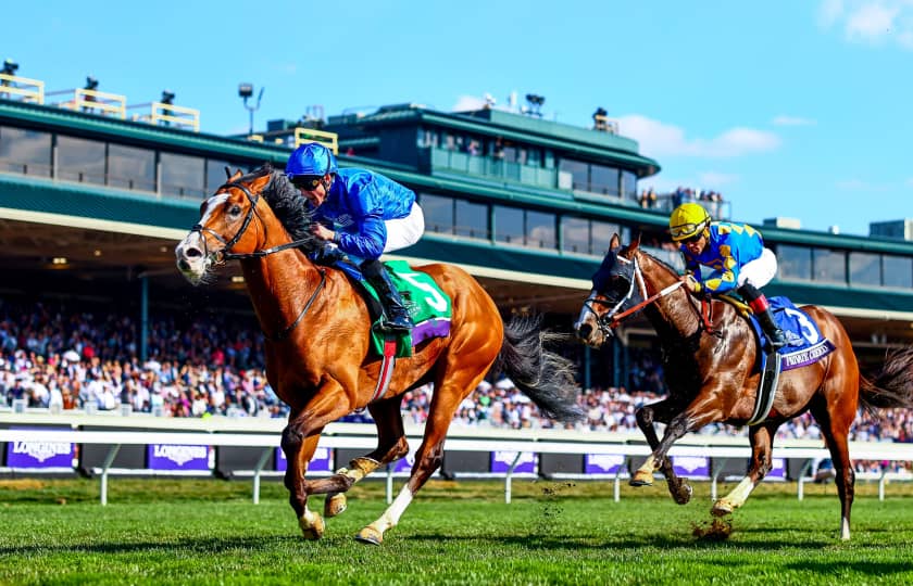 Breeders Cup Tickets Buy or Sell Breeders Cup 2024 Tickets viagogo