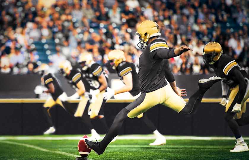 New Orleans Saints Tickets Buy or Sell New Orleans Saints Tickets viagogo