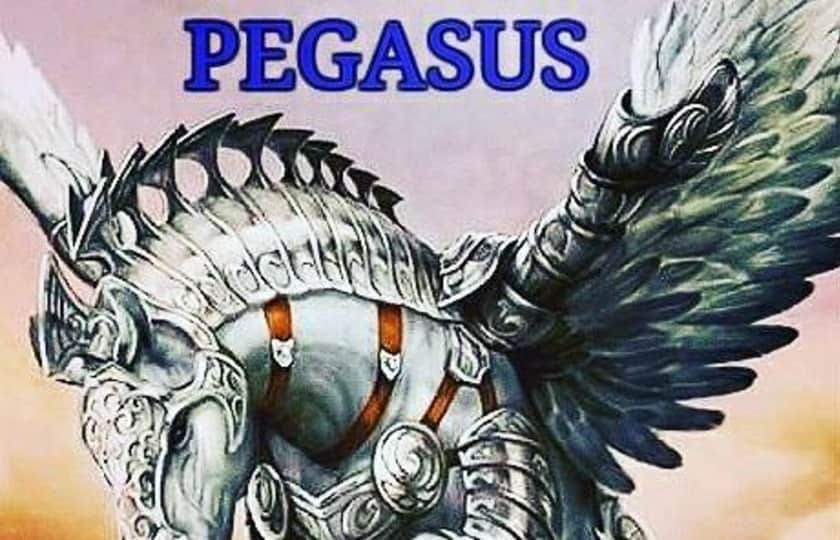 Pegasus Tickets Konzertkarten für Pegasus Tour viagogo