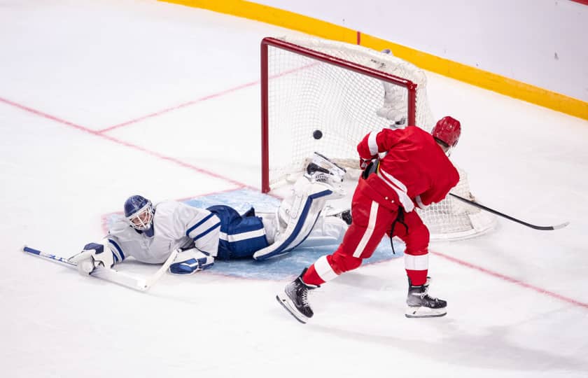Detroit Red Wings Tickets Buy or Sell Detroit Red Wings 2025 Tickets