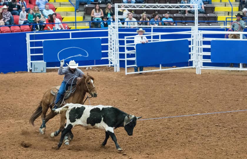 Billets PARKING PASSES ONLY Rodeo Austin Rodeo Austin Parking Lots